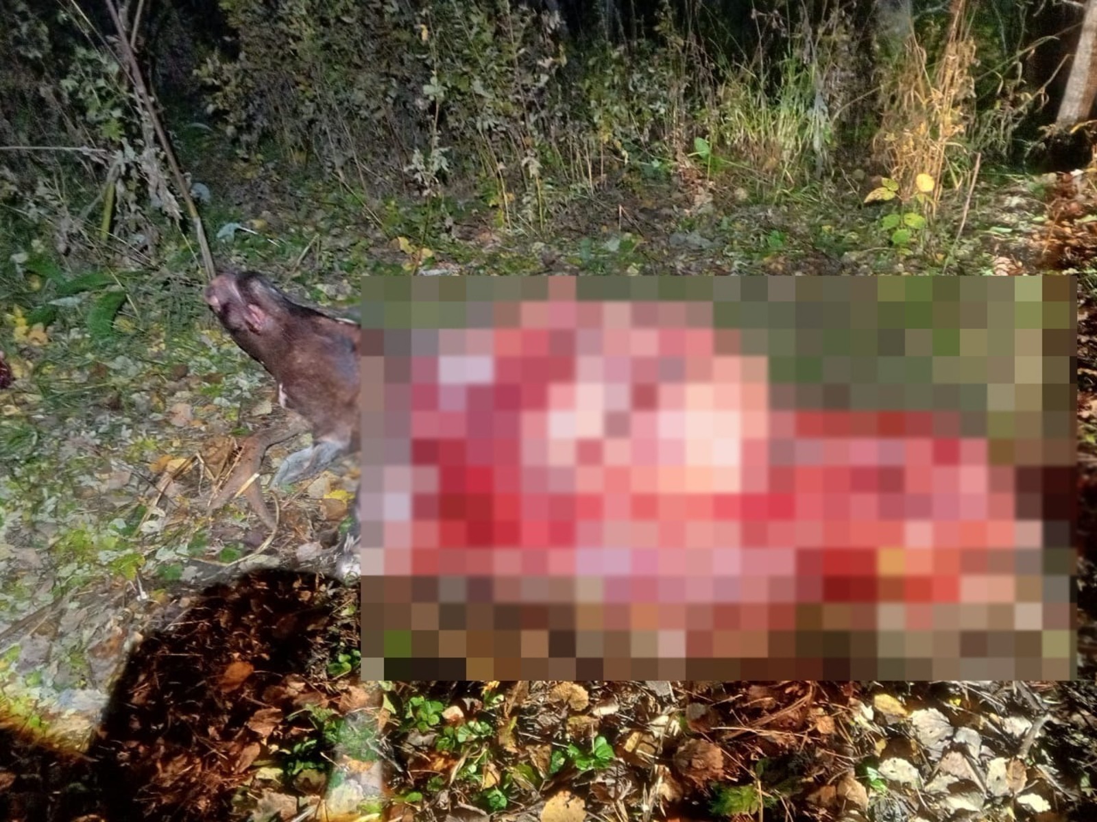 ИА Башинформ