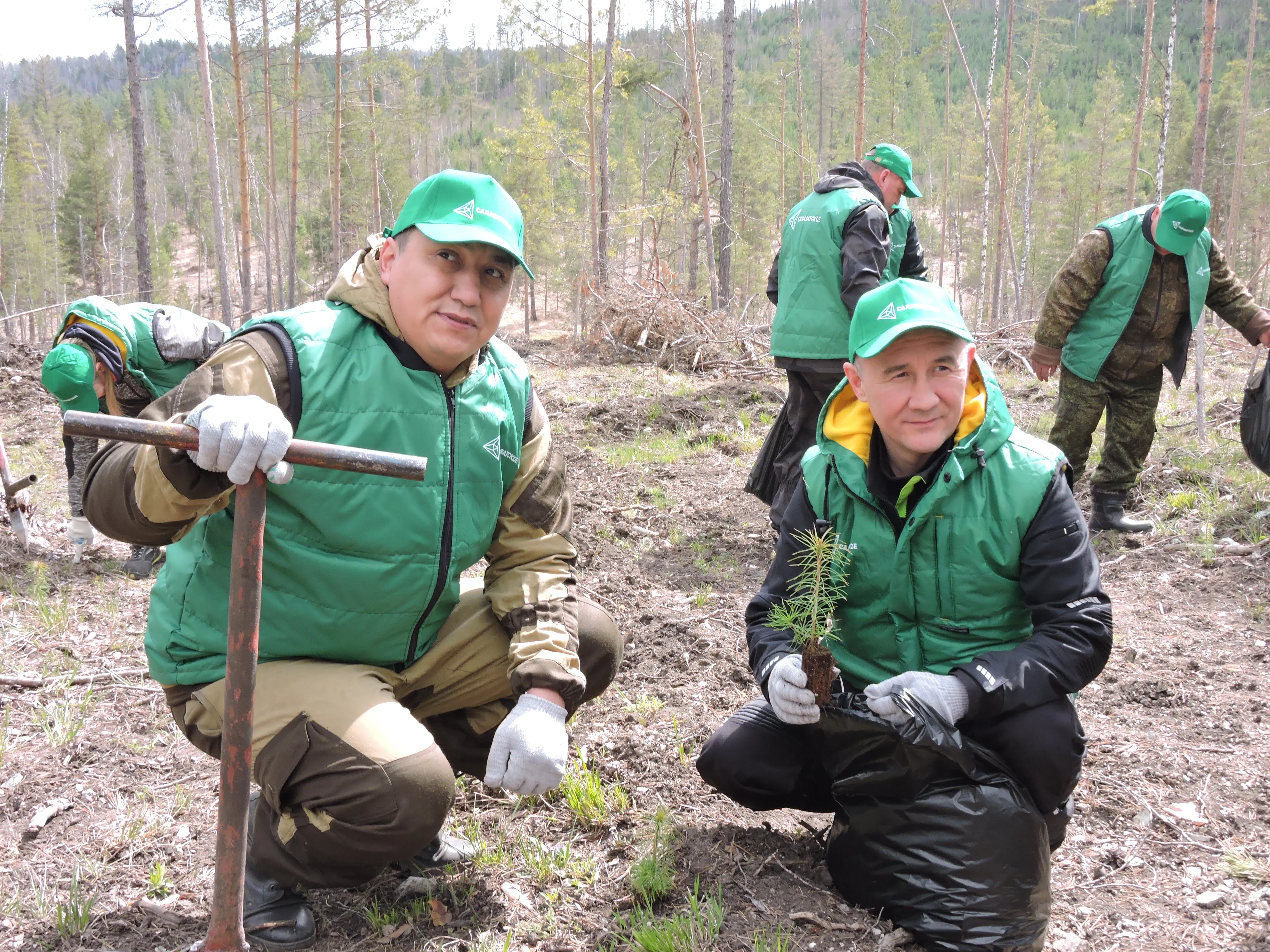 «Салаватское» восстанавливает лес