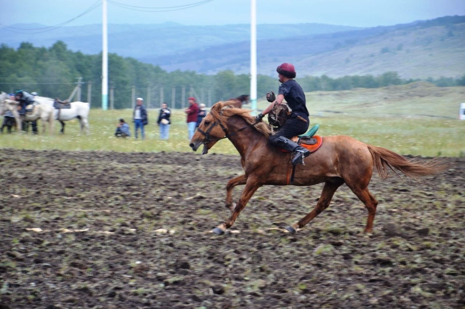 О значении лошади для башкира - жительница Гафурийского района