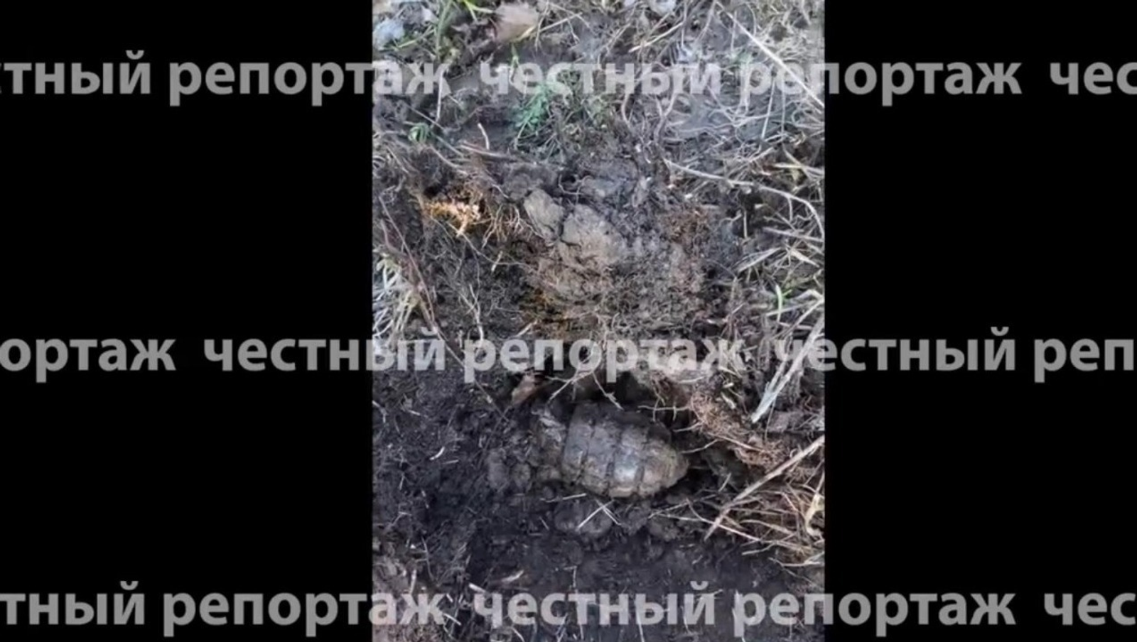 ИА Башинформ