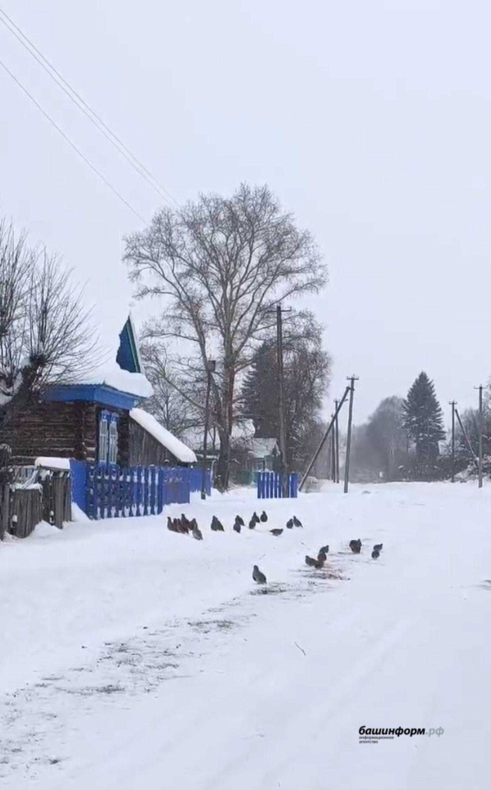 ИА Башинформ