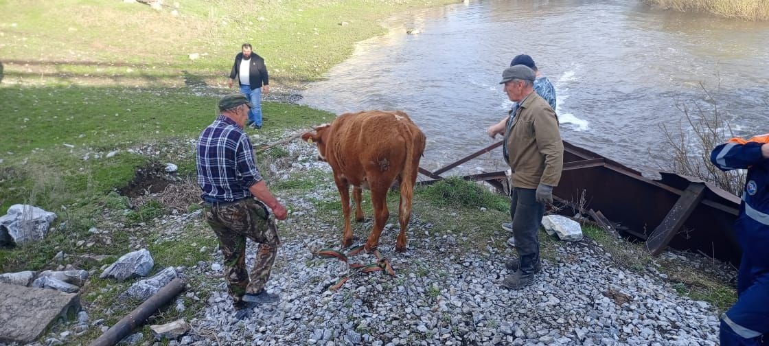 В Башкирии бык упал с моста через реку и повис