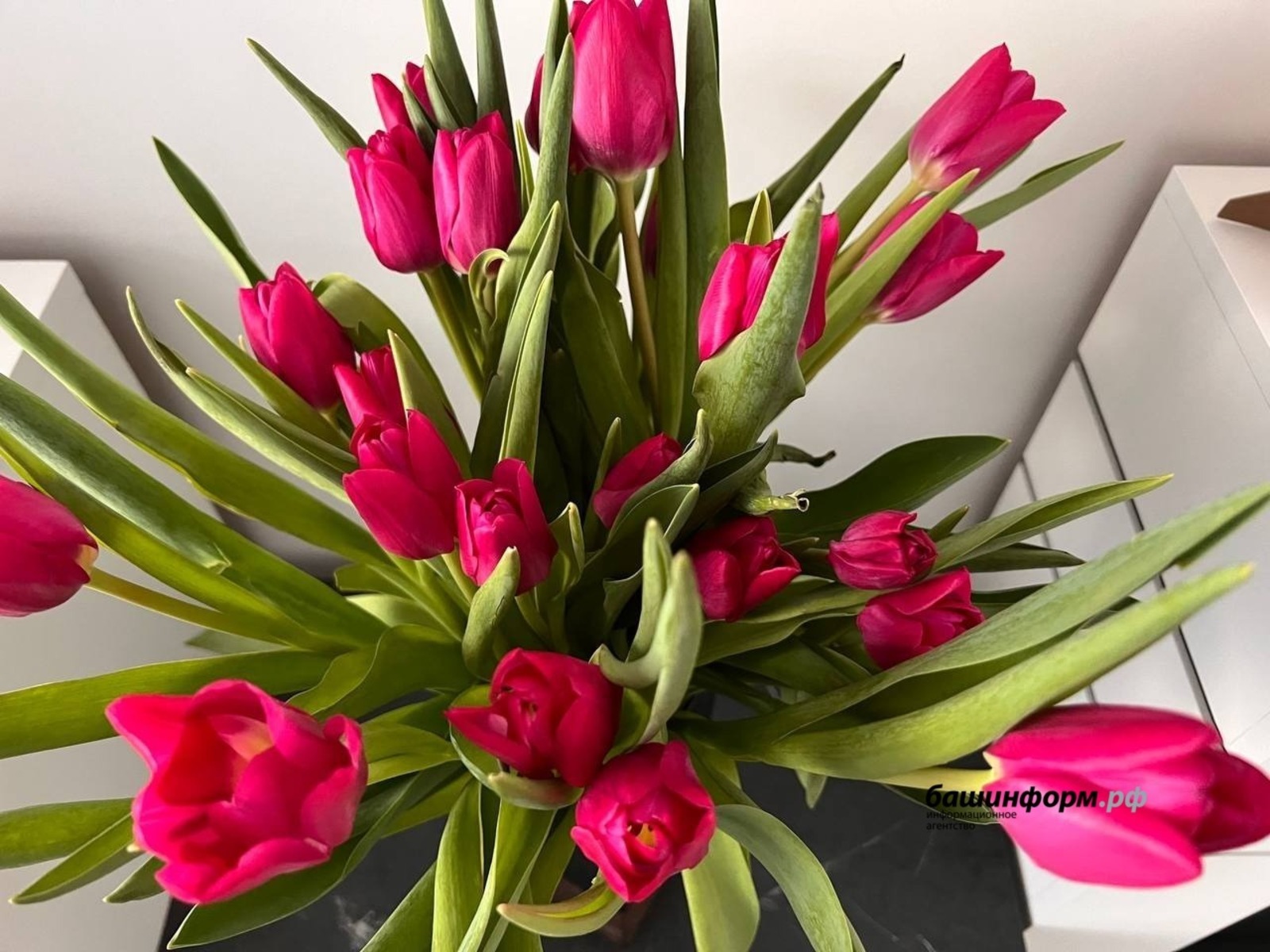 ИА Башинформ