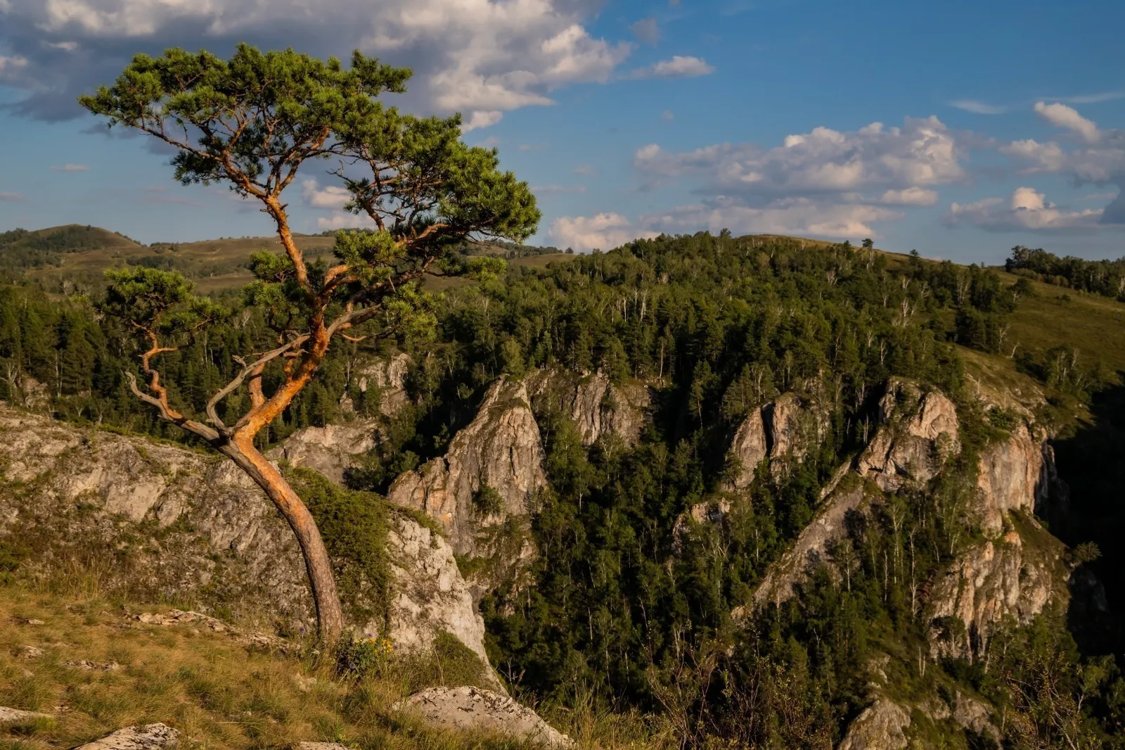 ИА Башинформ