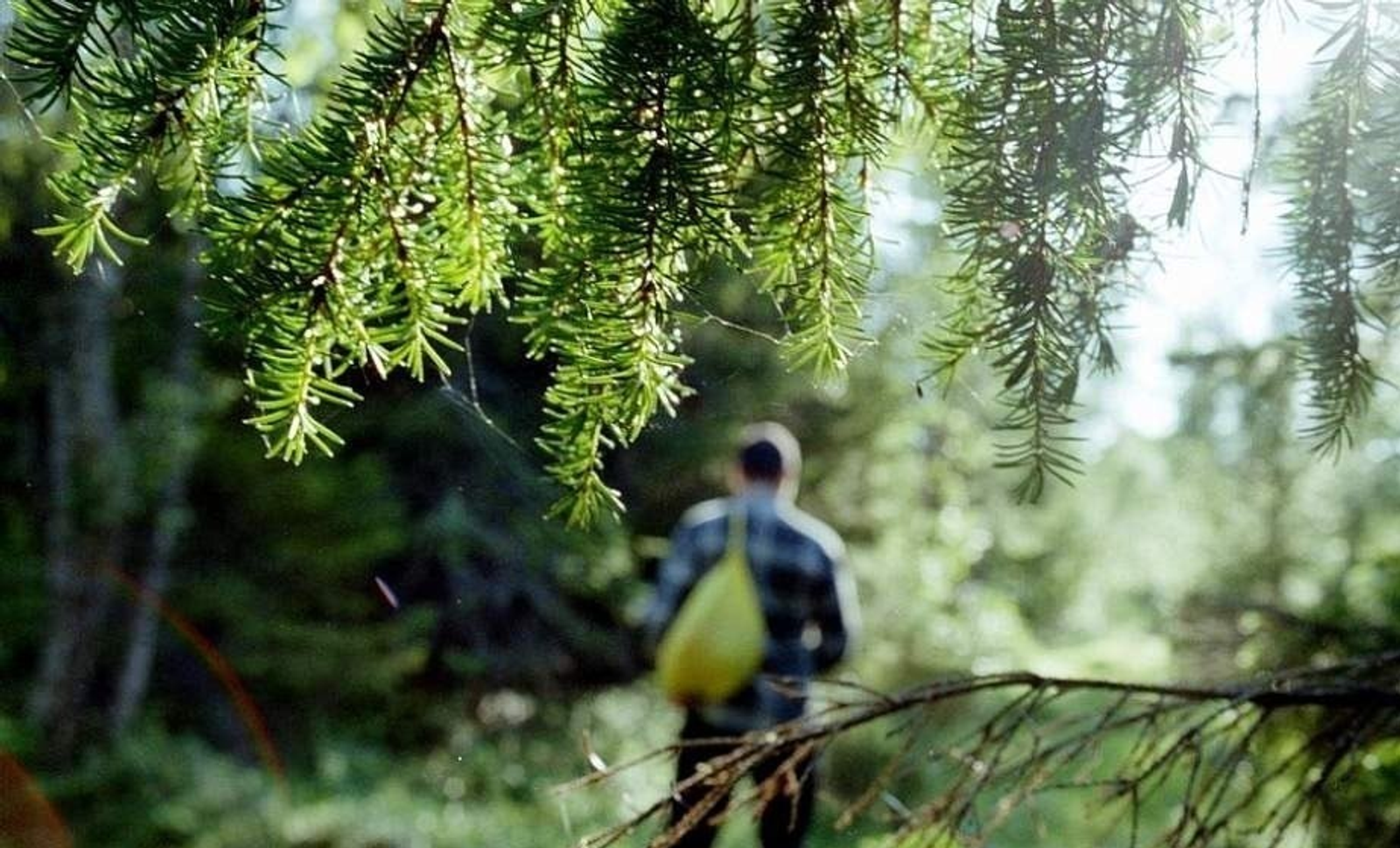 ИА Башинформ