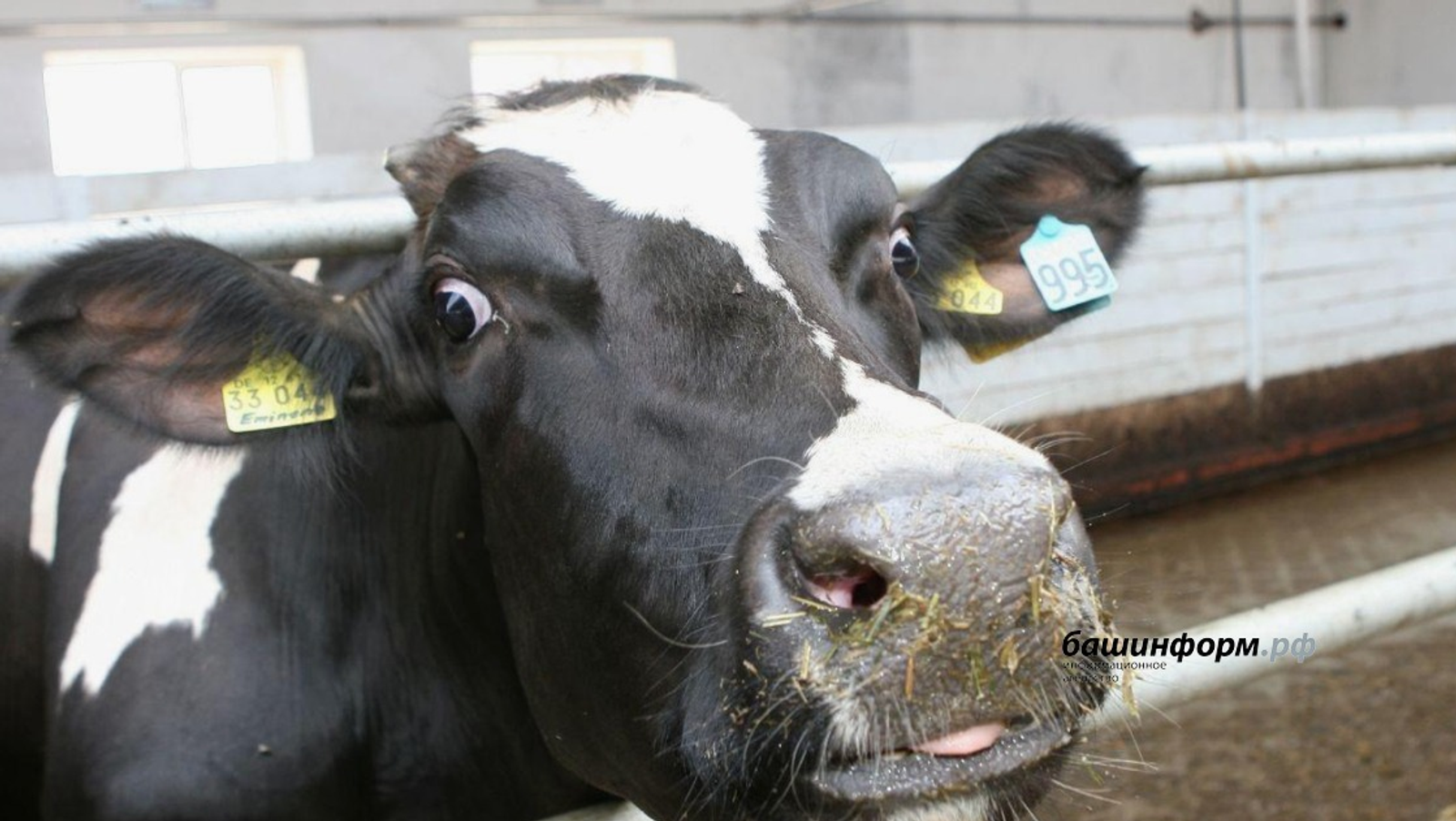 ИА Башинформ