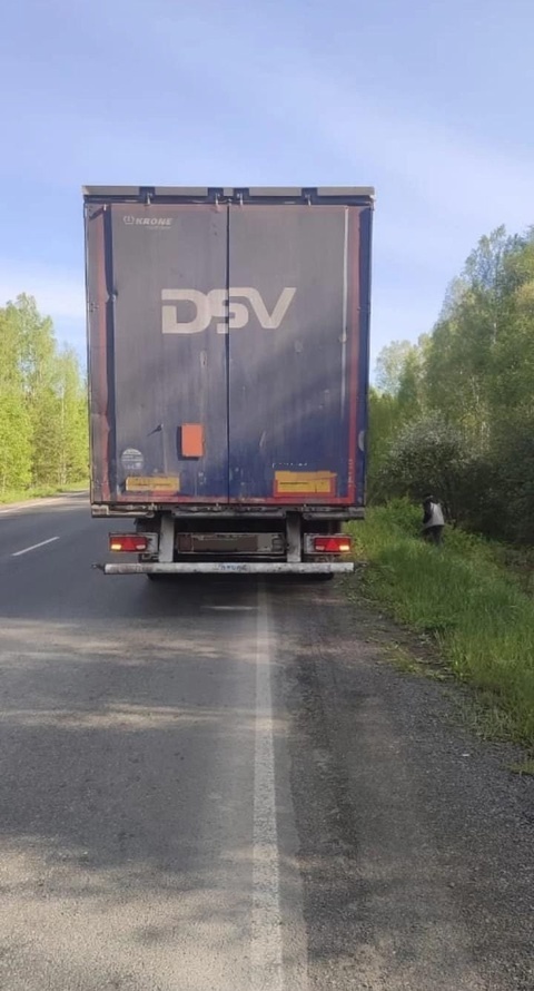 В Башкирии на одном и том же участке дороги произошло два наезда на косуль