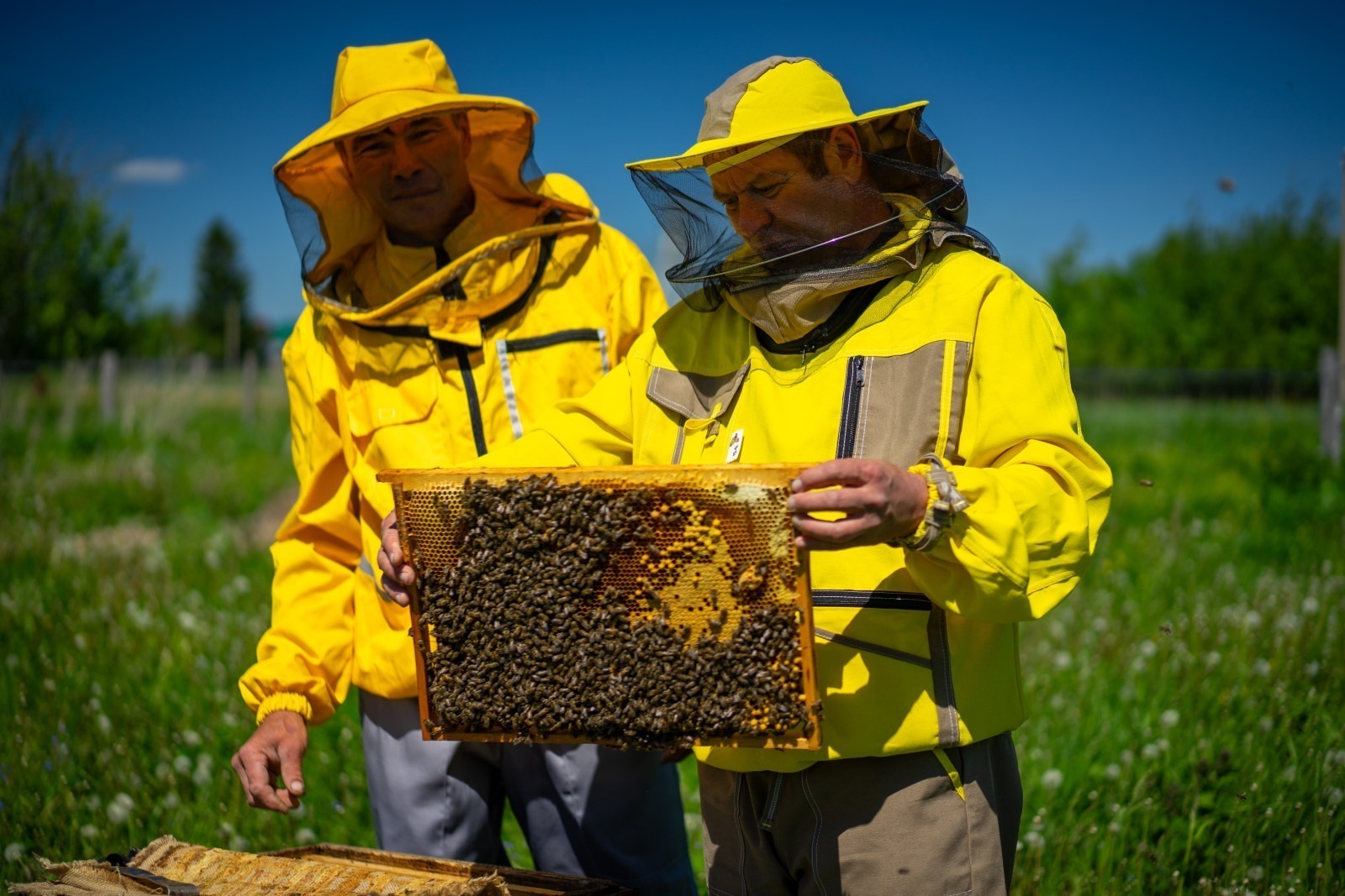 ИА Башинформ