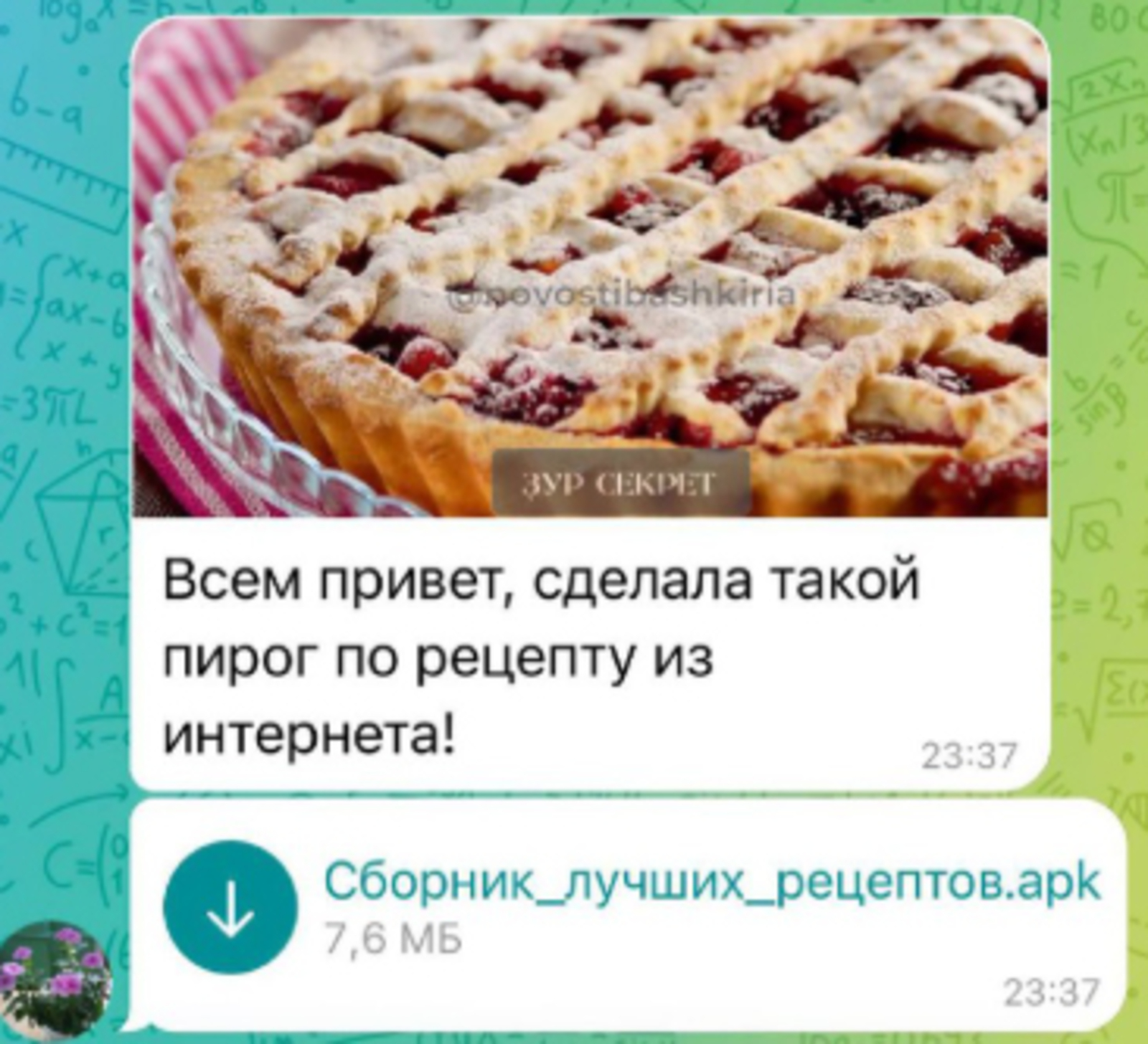 Мошенники крадут данные через поддельные рецепты в Башкирии