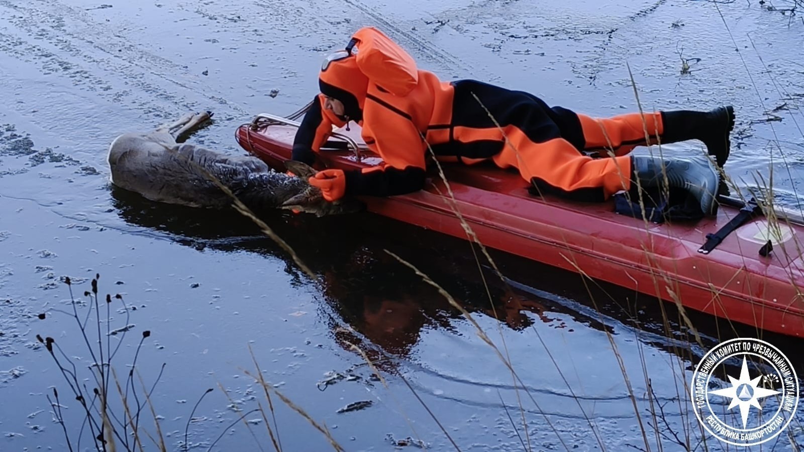 ИА Башинформ