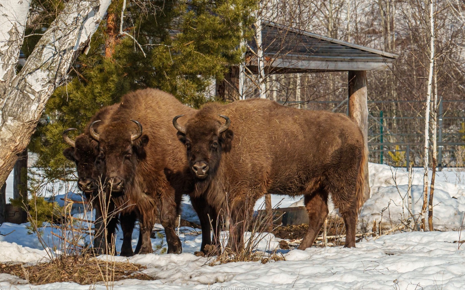 ИА Башинформ