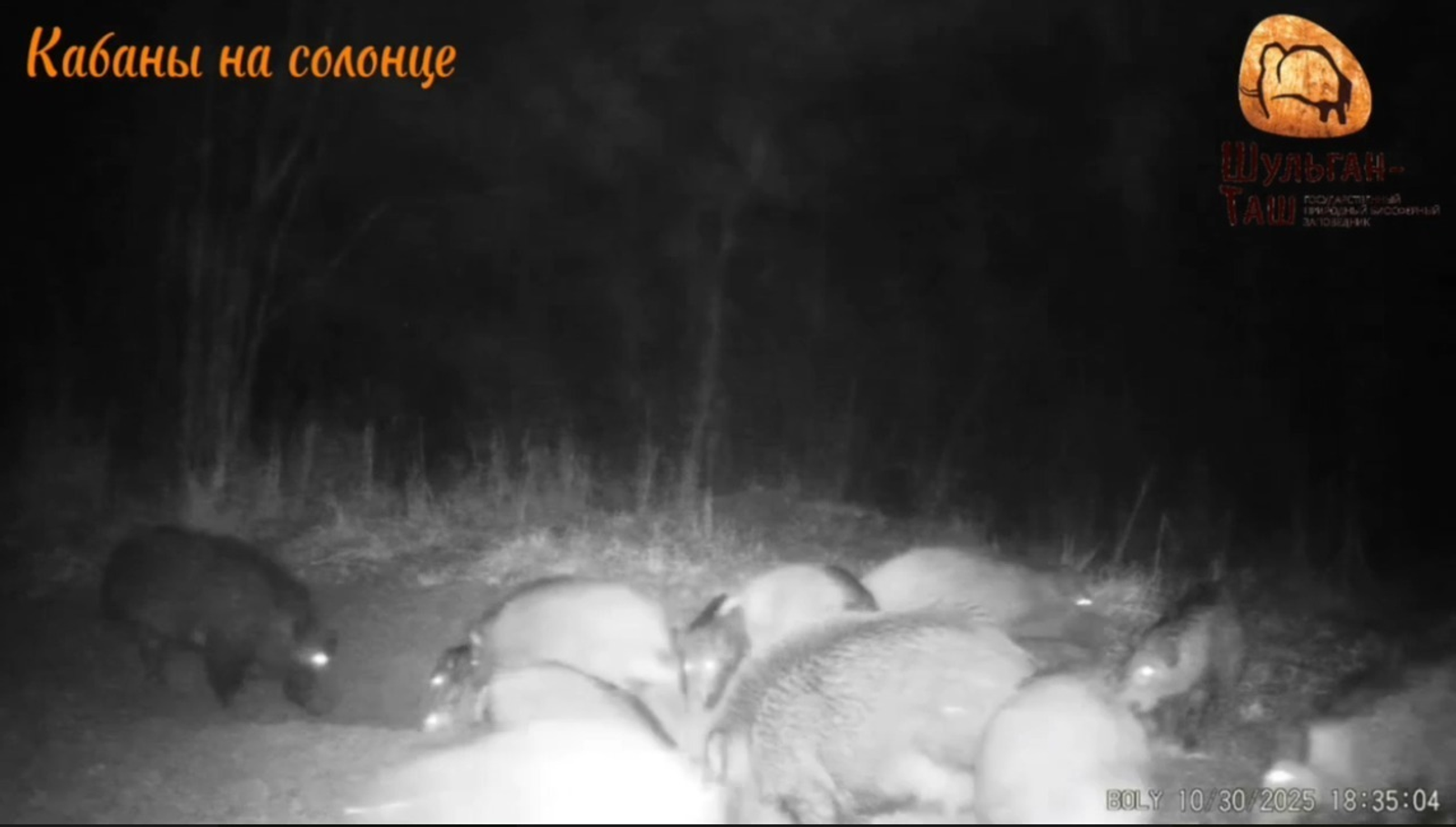 ИА Башинформ