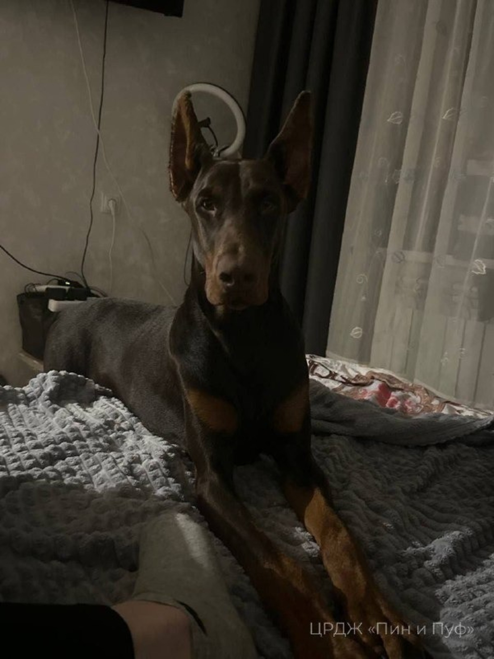 ИА Башинформ