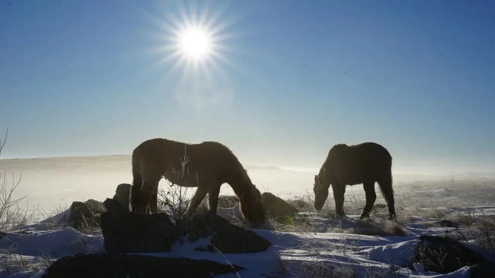 ИА Башинформ