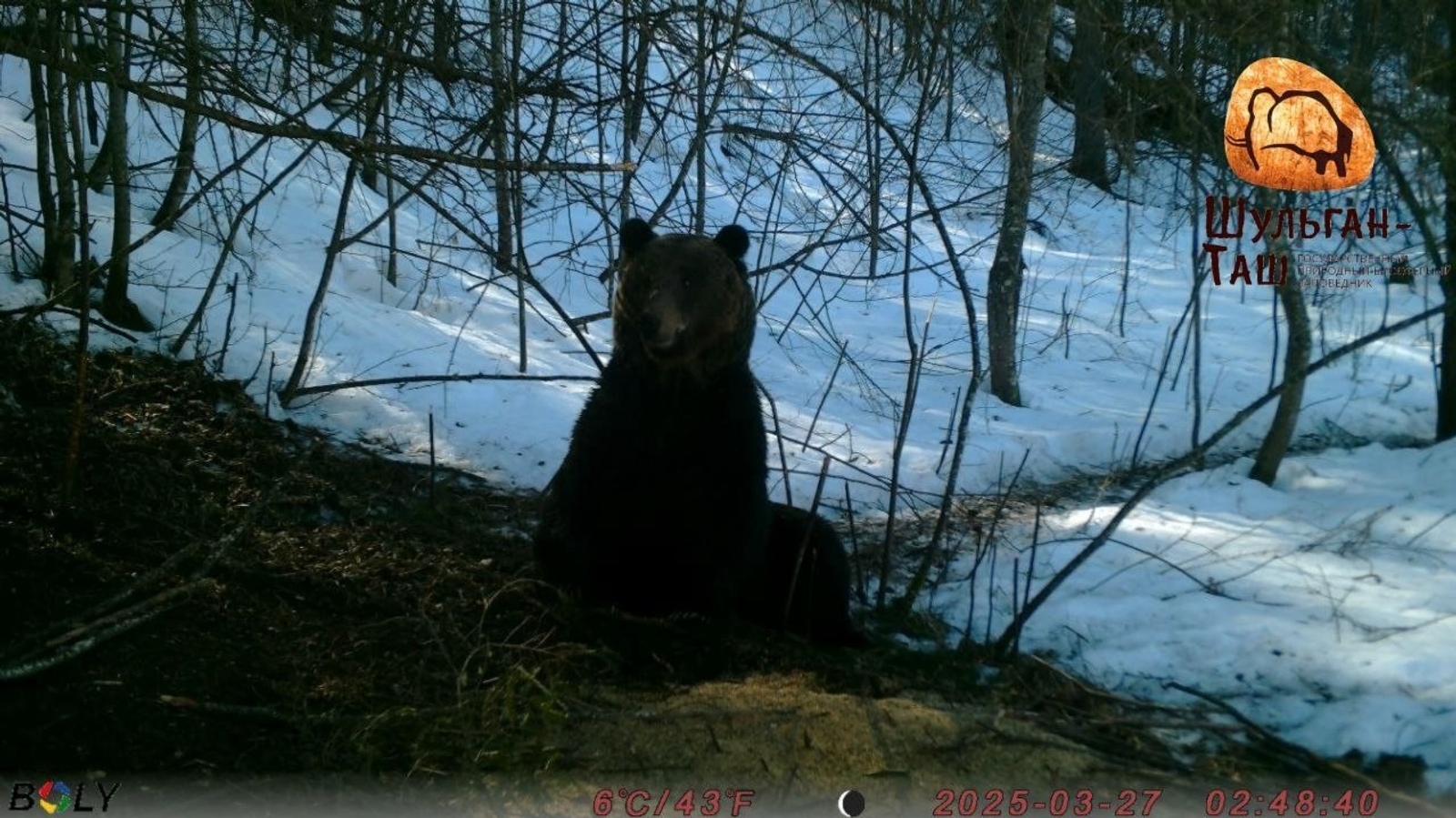 ИА Башинформ