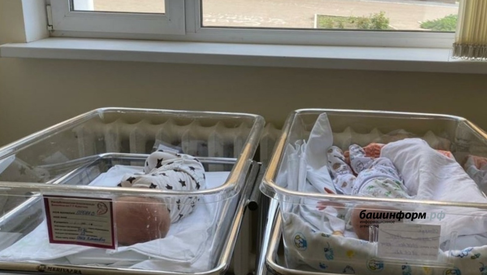 ИА Башинформ