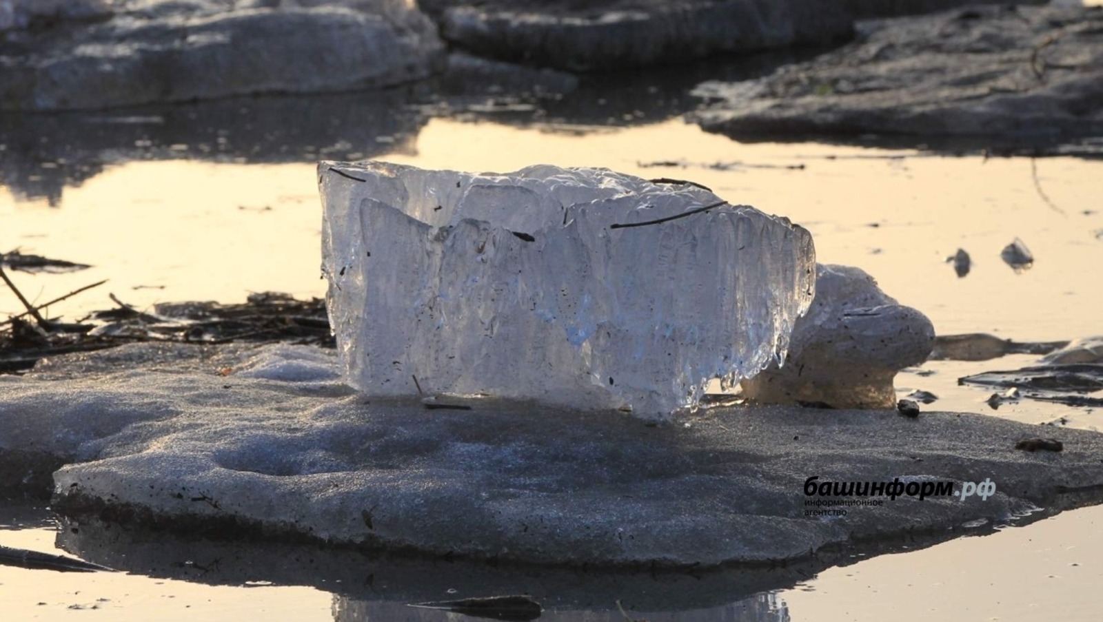 ИА Башинформ