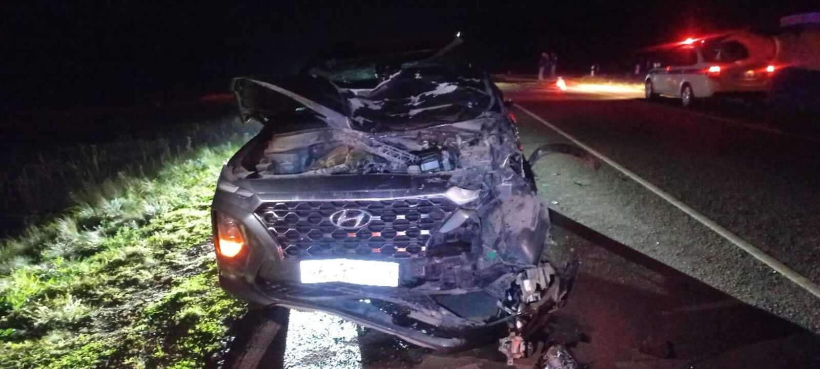 В Башкирии иномарка сбила лошадь