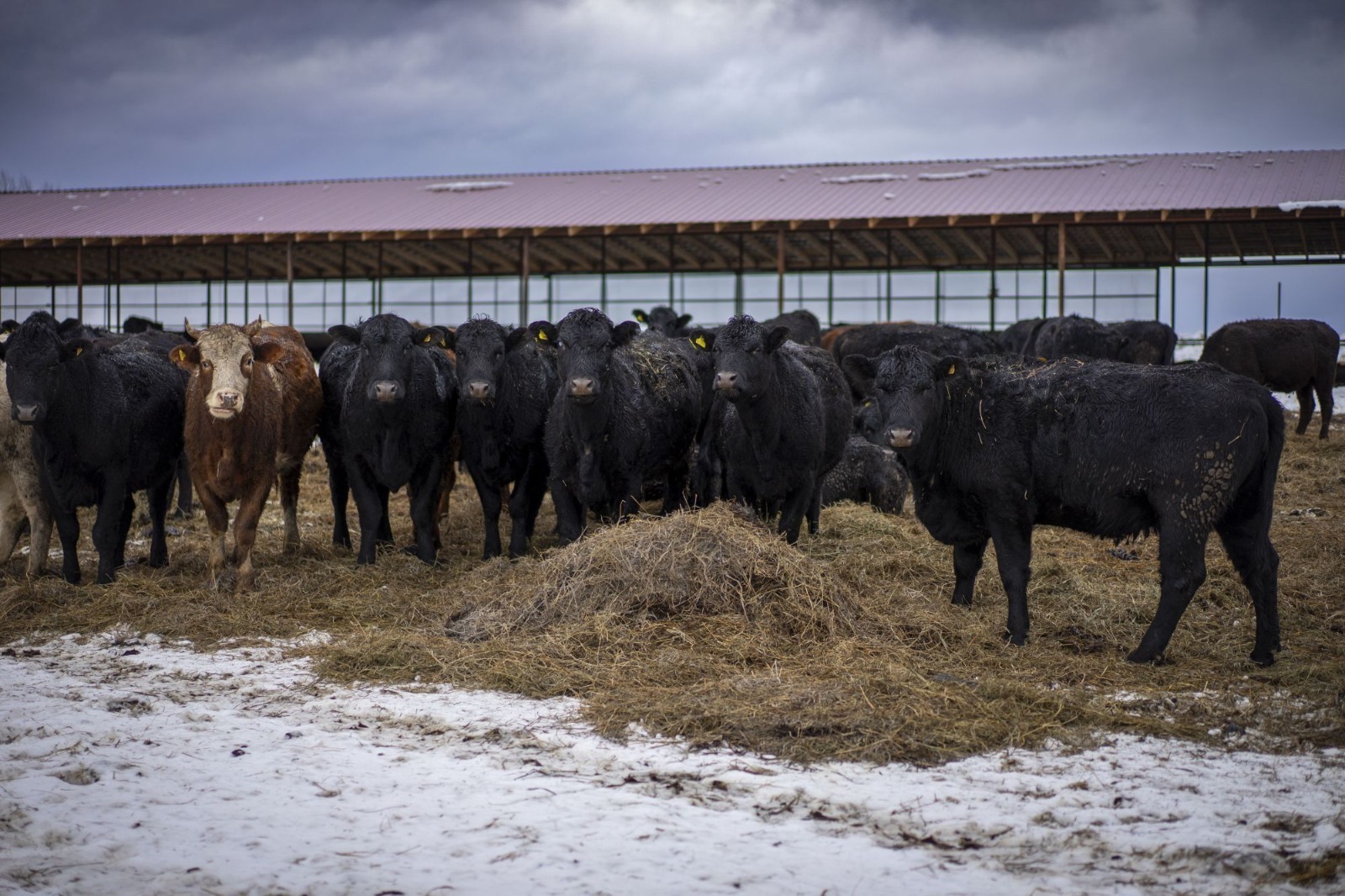 ИА Башинформ