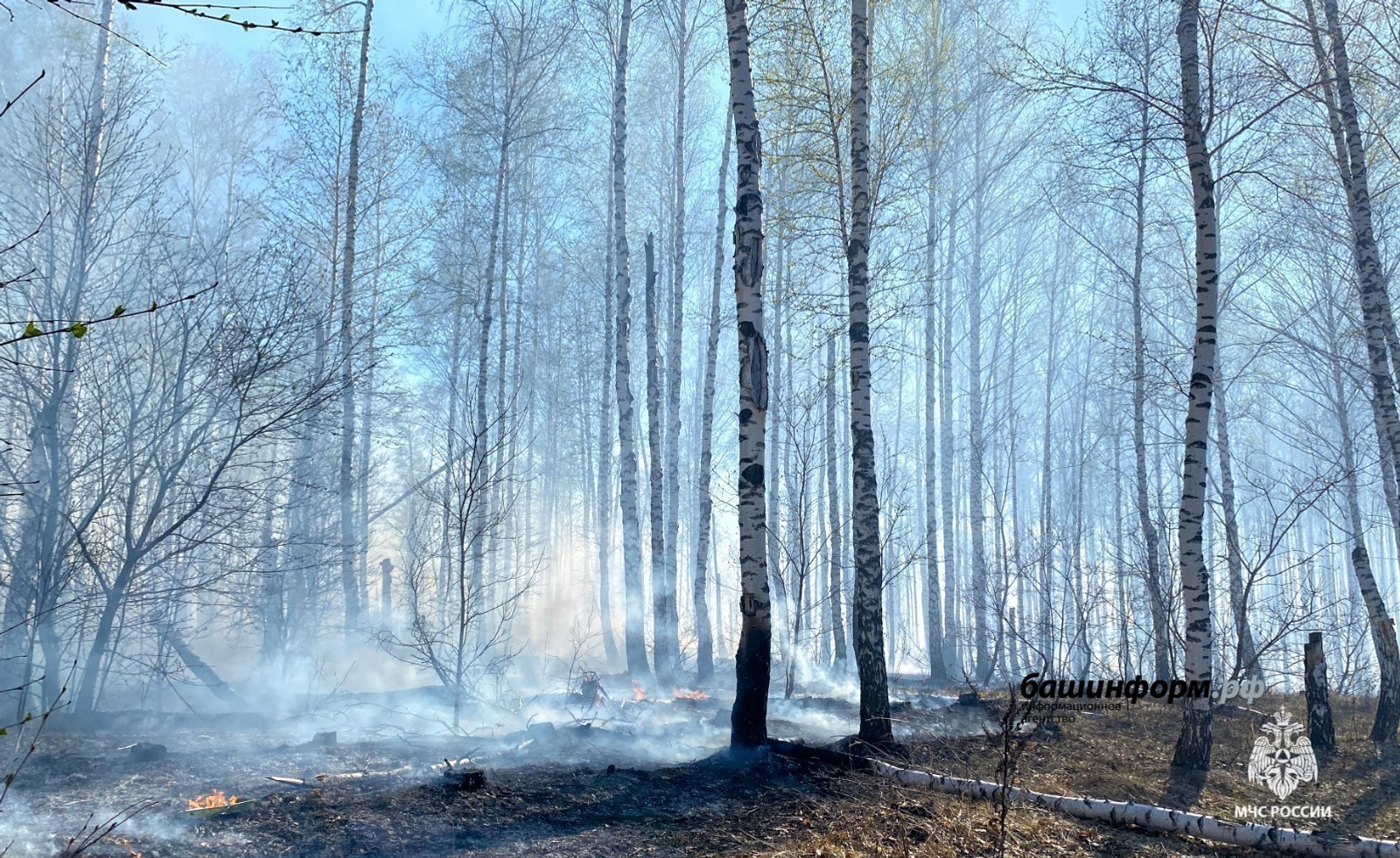 ИА Башинформ