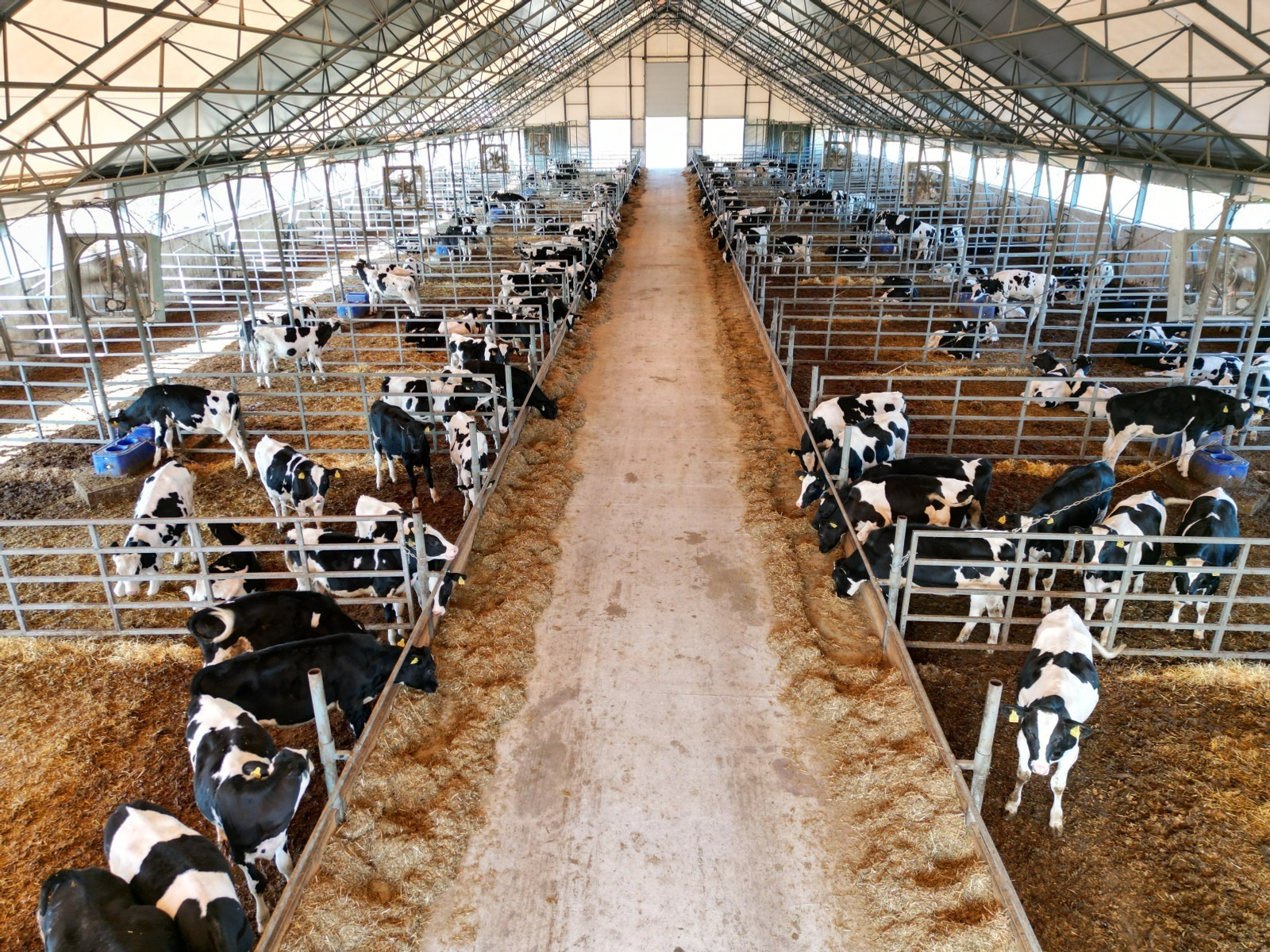 ИА Башинформ