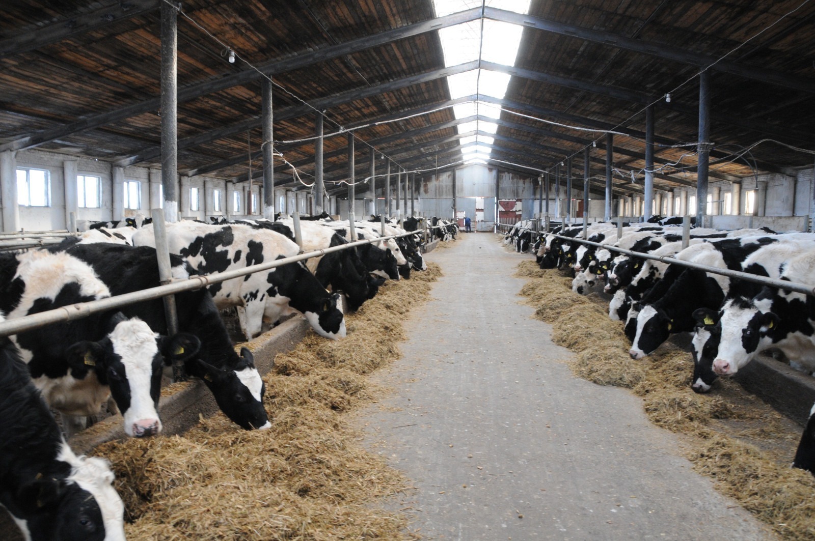 ИА Башинформ