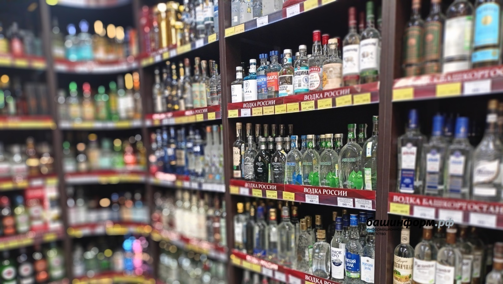 ИА Башинформ