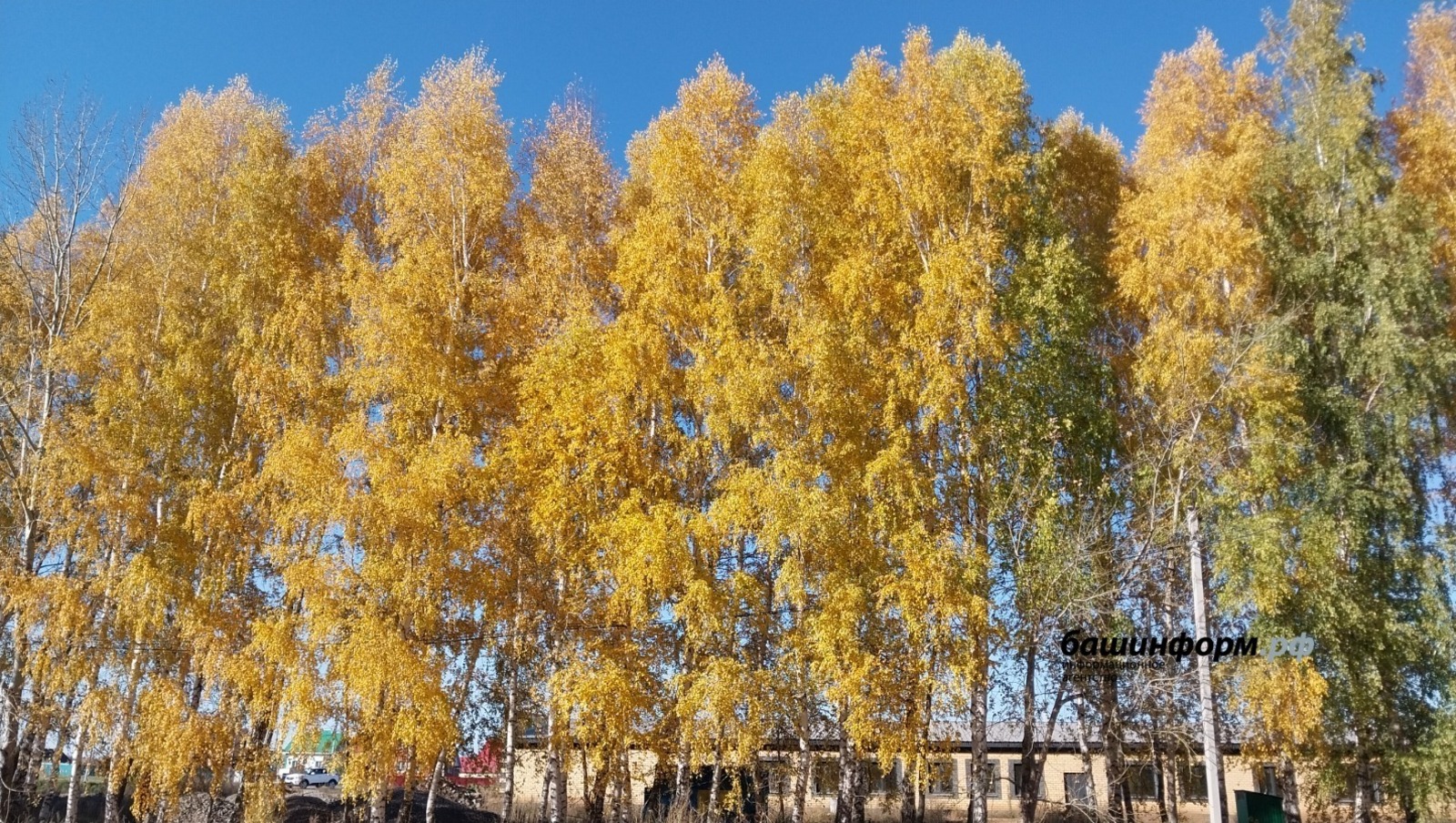 ИА Башинформ