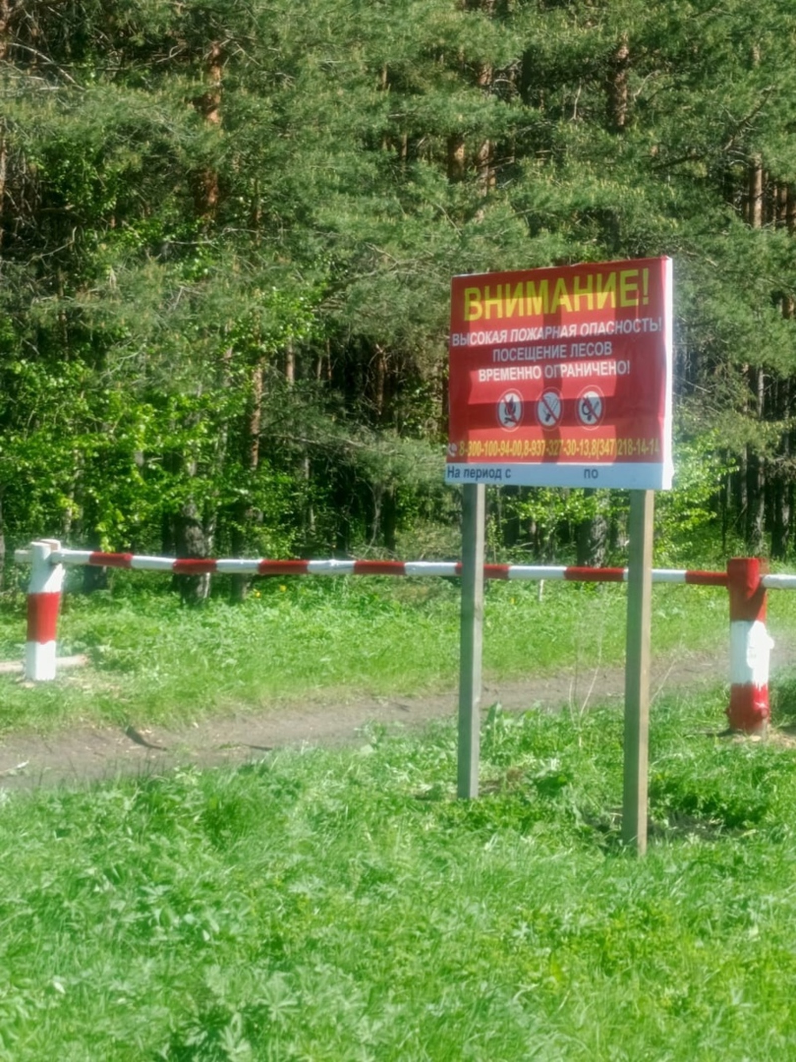 Туристам и охотникам в Башкирии запретили ходить в лес