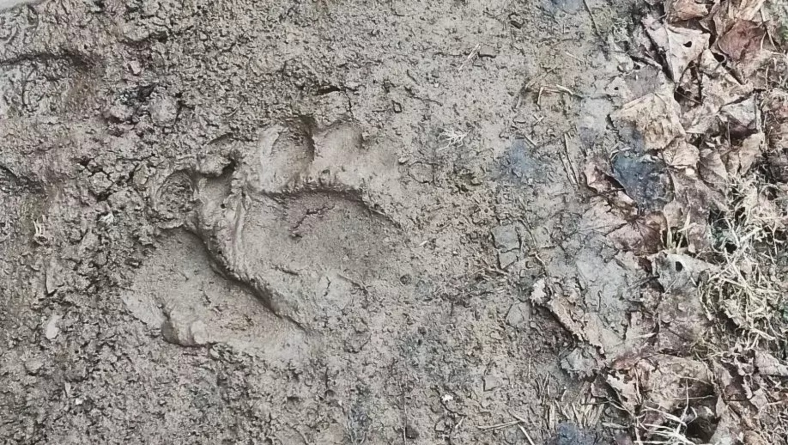 ИА Башинформ