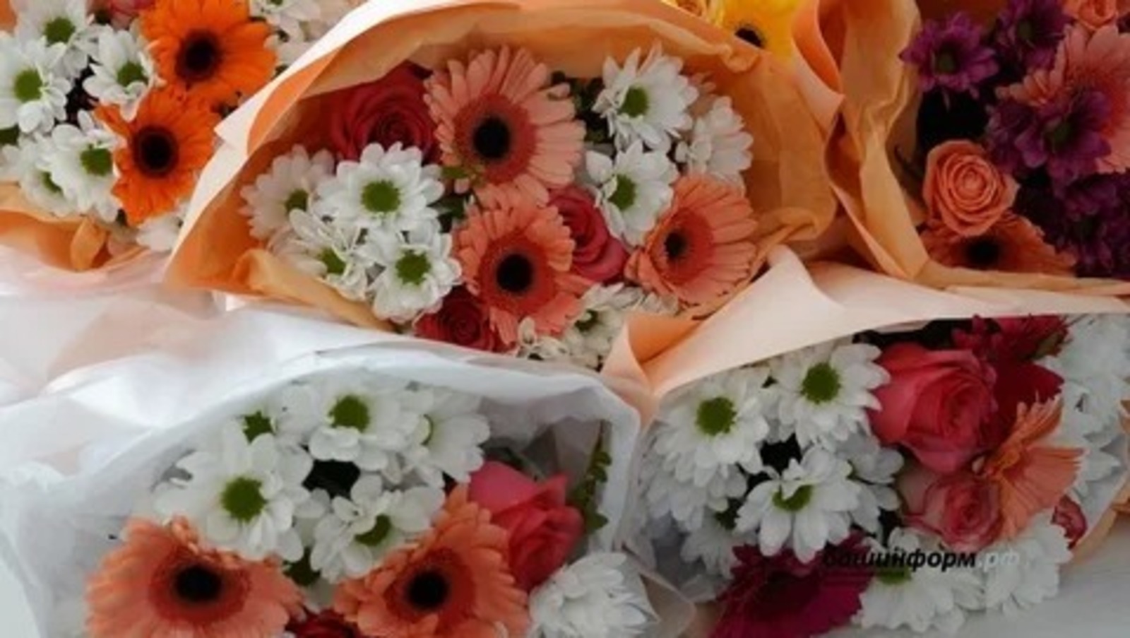 ИА Башинформ