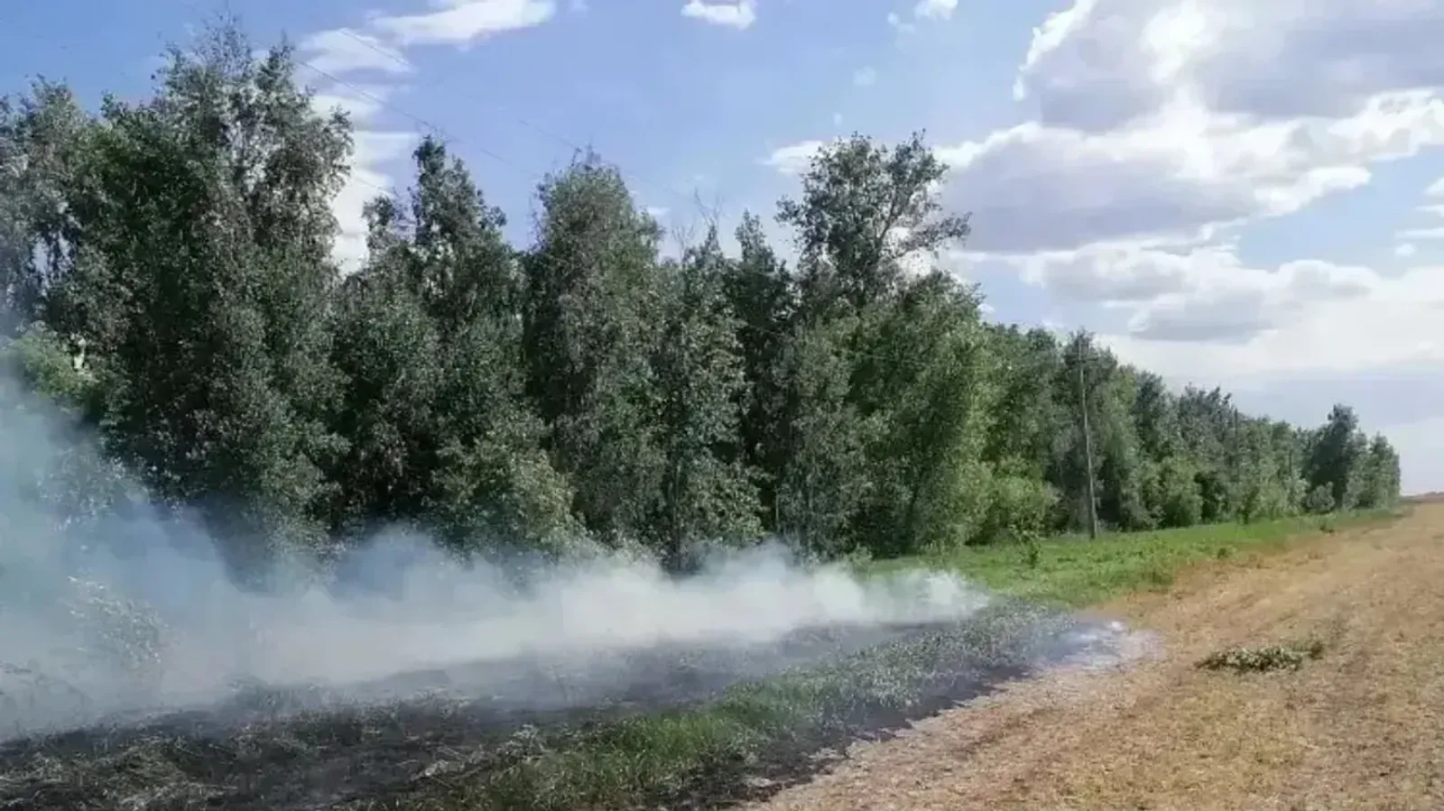 Автопарк лесопожарной техники пополнился новым транспортом