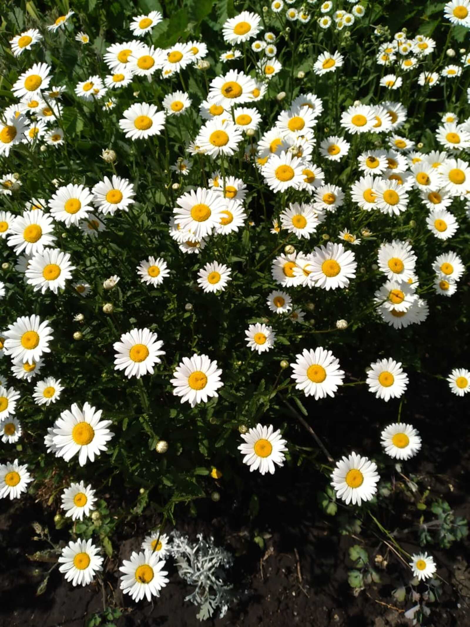 Стало известно о погоде на выходные в Башкирии