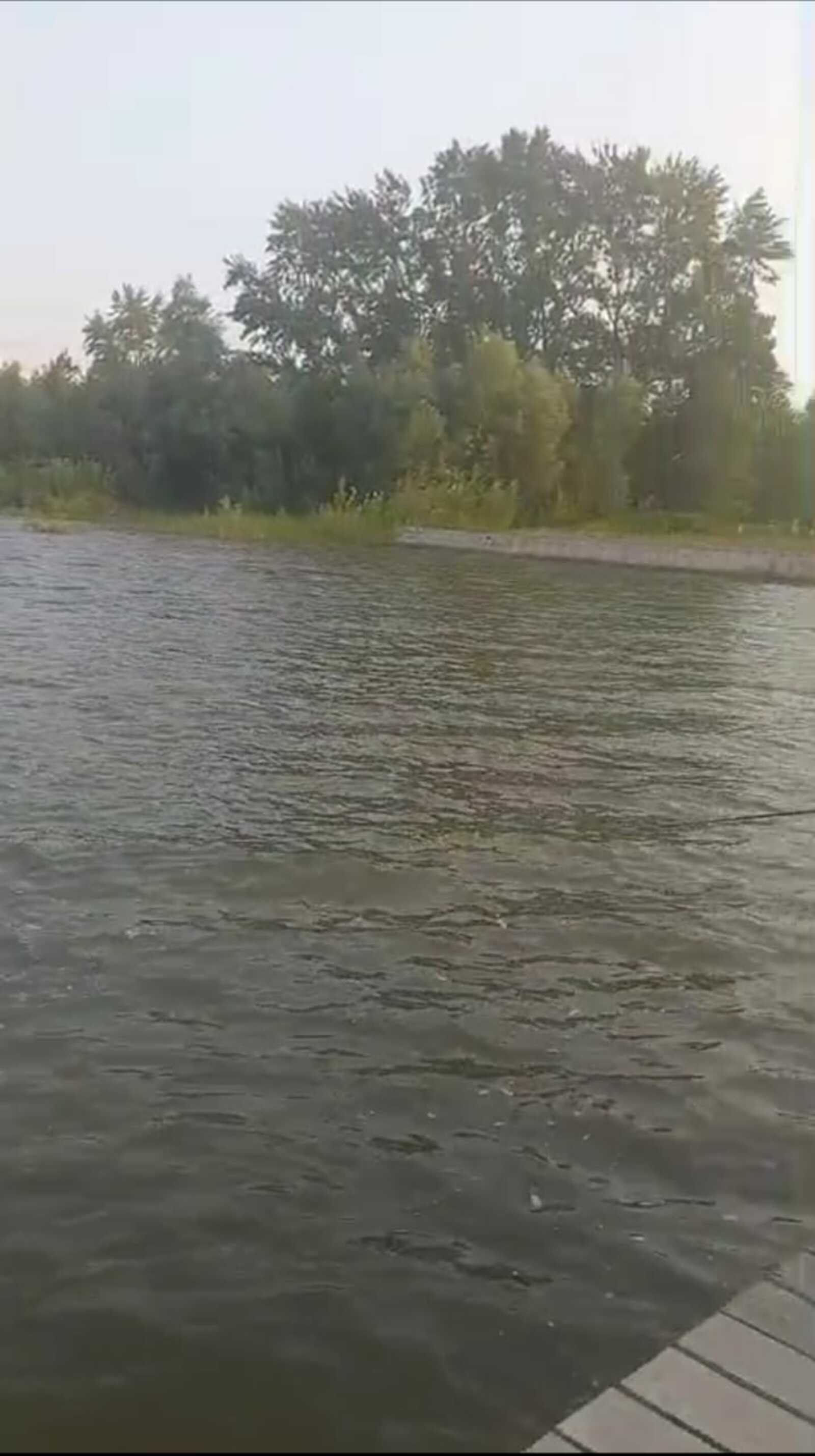 МЧС ужесточает правила: что теперь нельзя у воды?