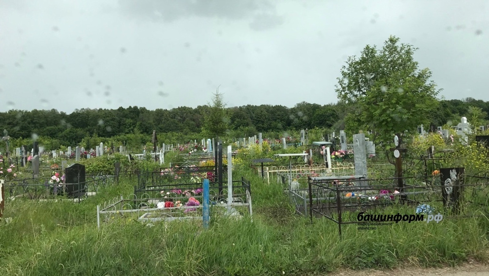 ИА Башинформ