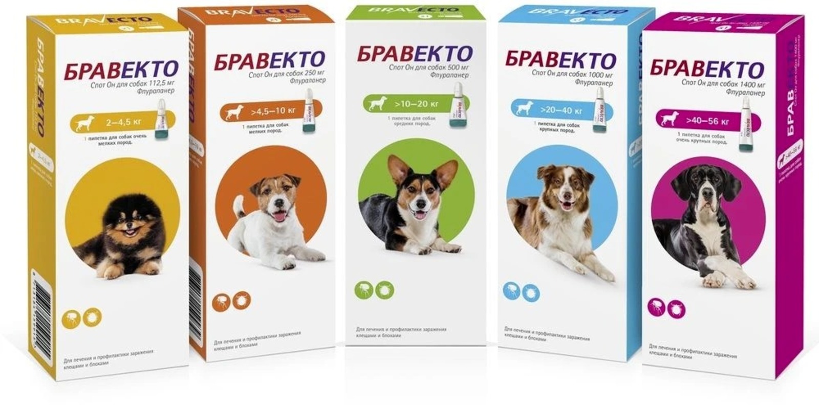 ИА Башинформ