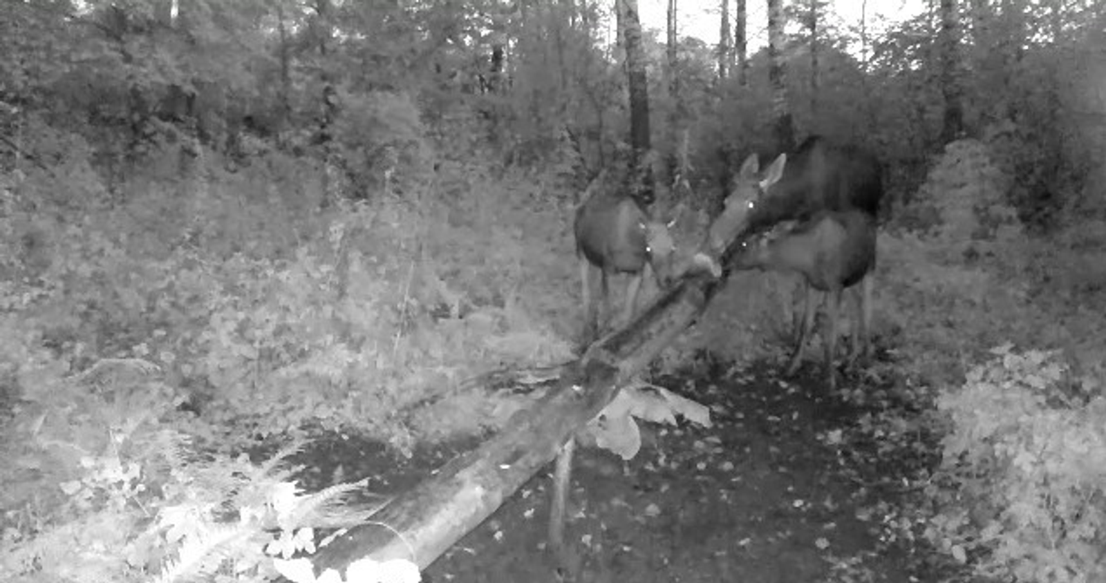 Фото: ИА Башинформ