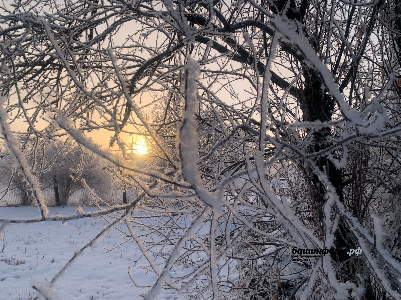 ИА Башинформ