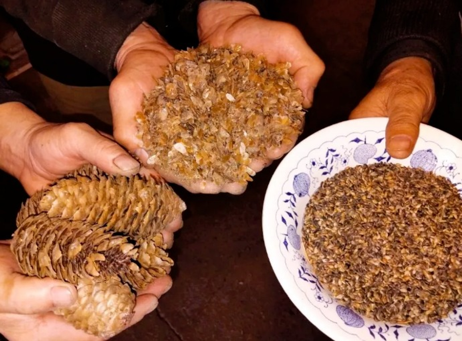 ИА Башинформ