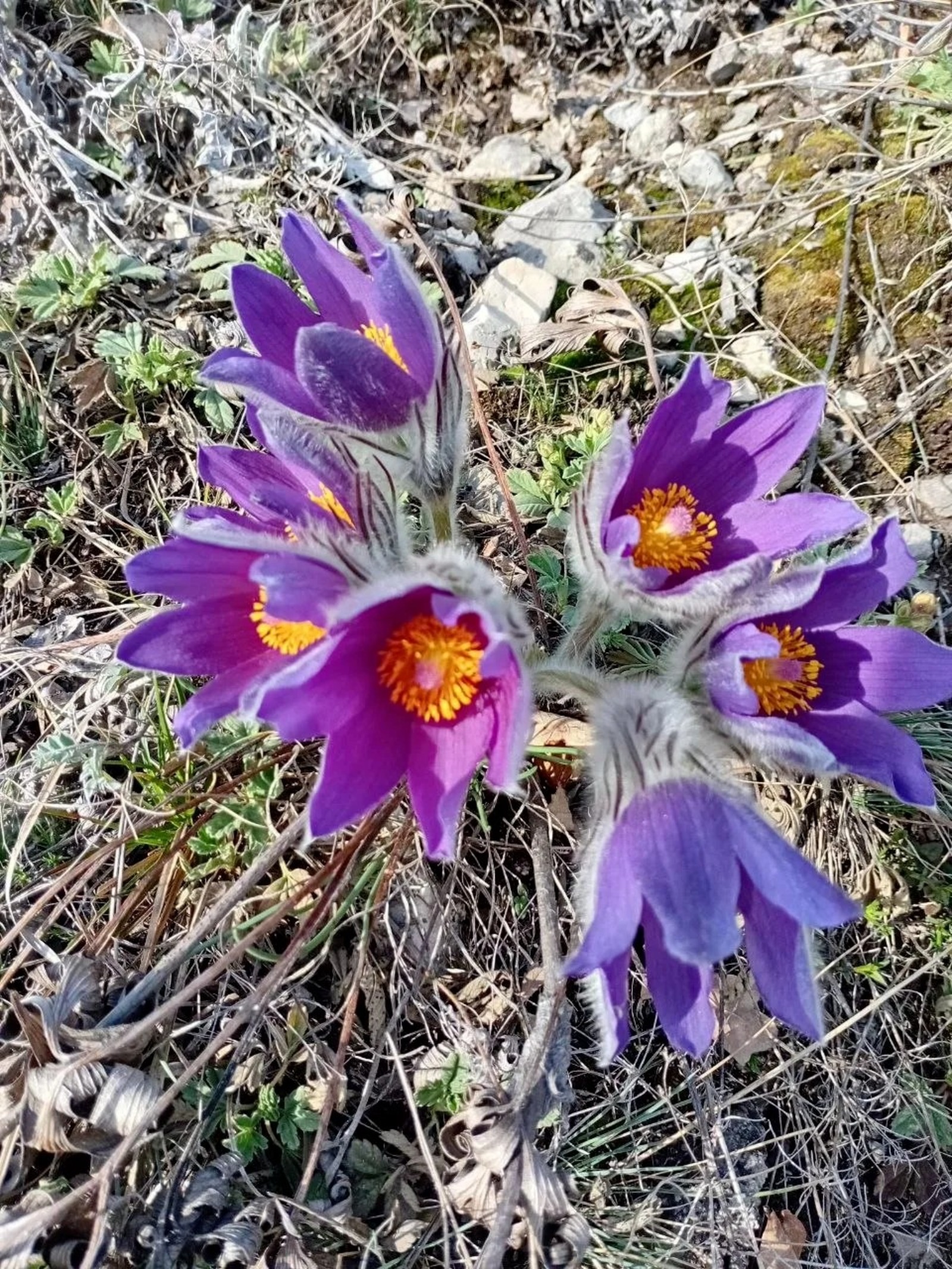 ИА Башинформ