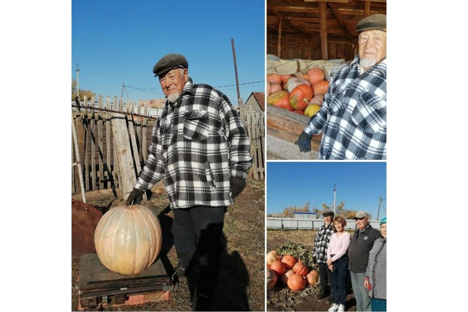 В Башкирии 92-летний дедушка вырастил гигантскую тыкву