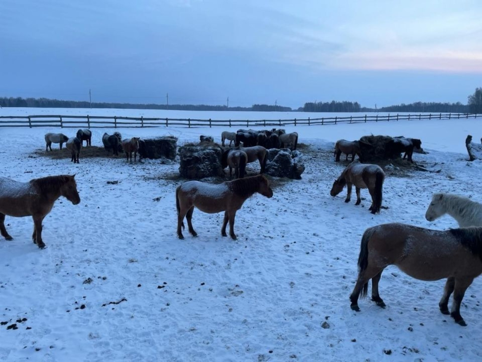 ИА Башинформ