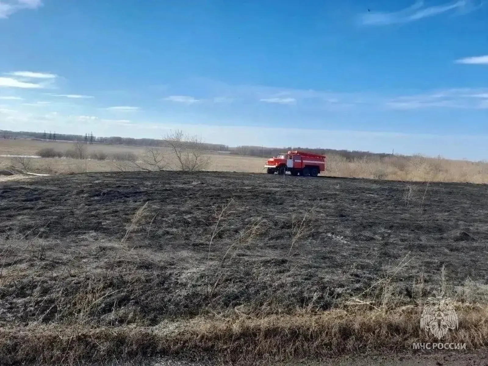 ИА Башинформ