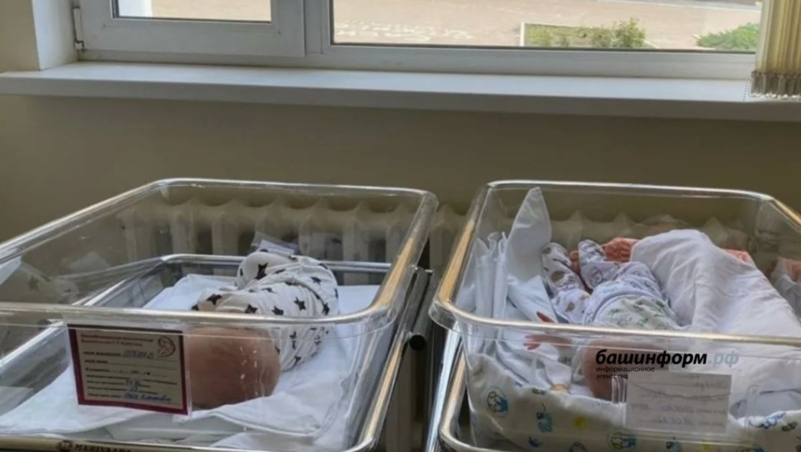 ИА Башинформ