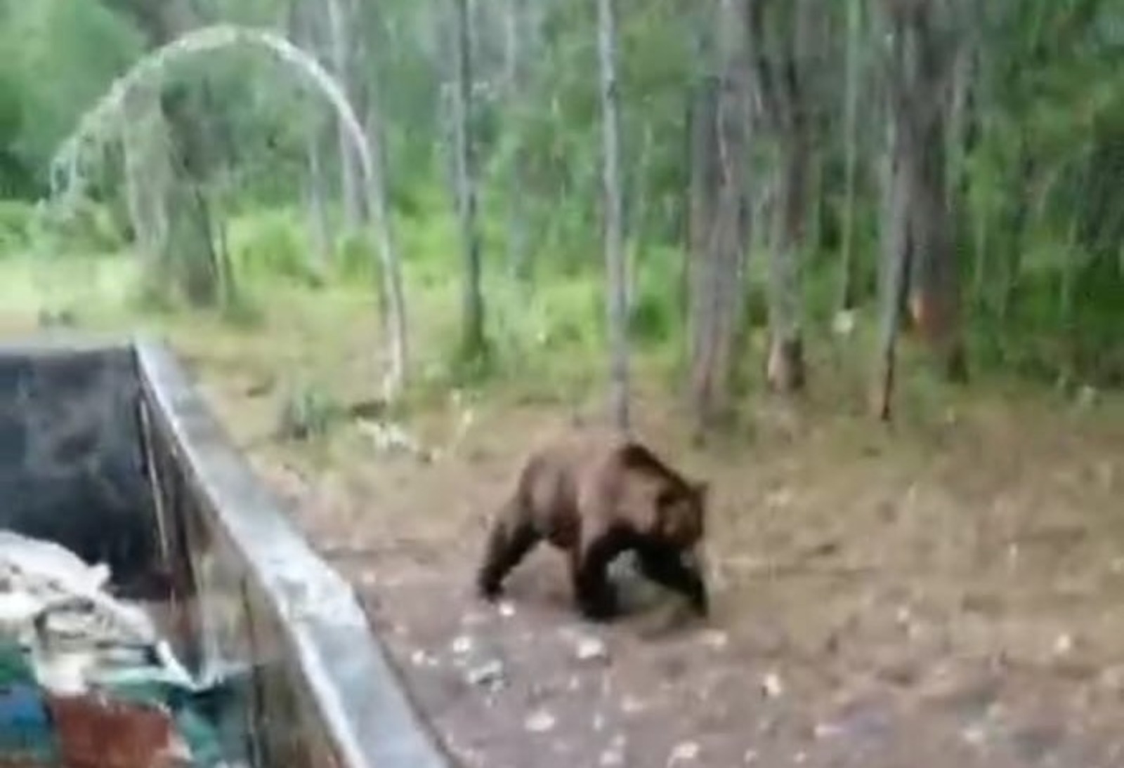 ИА Башинформ