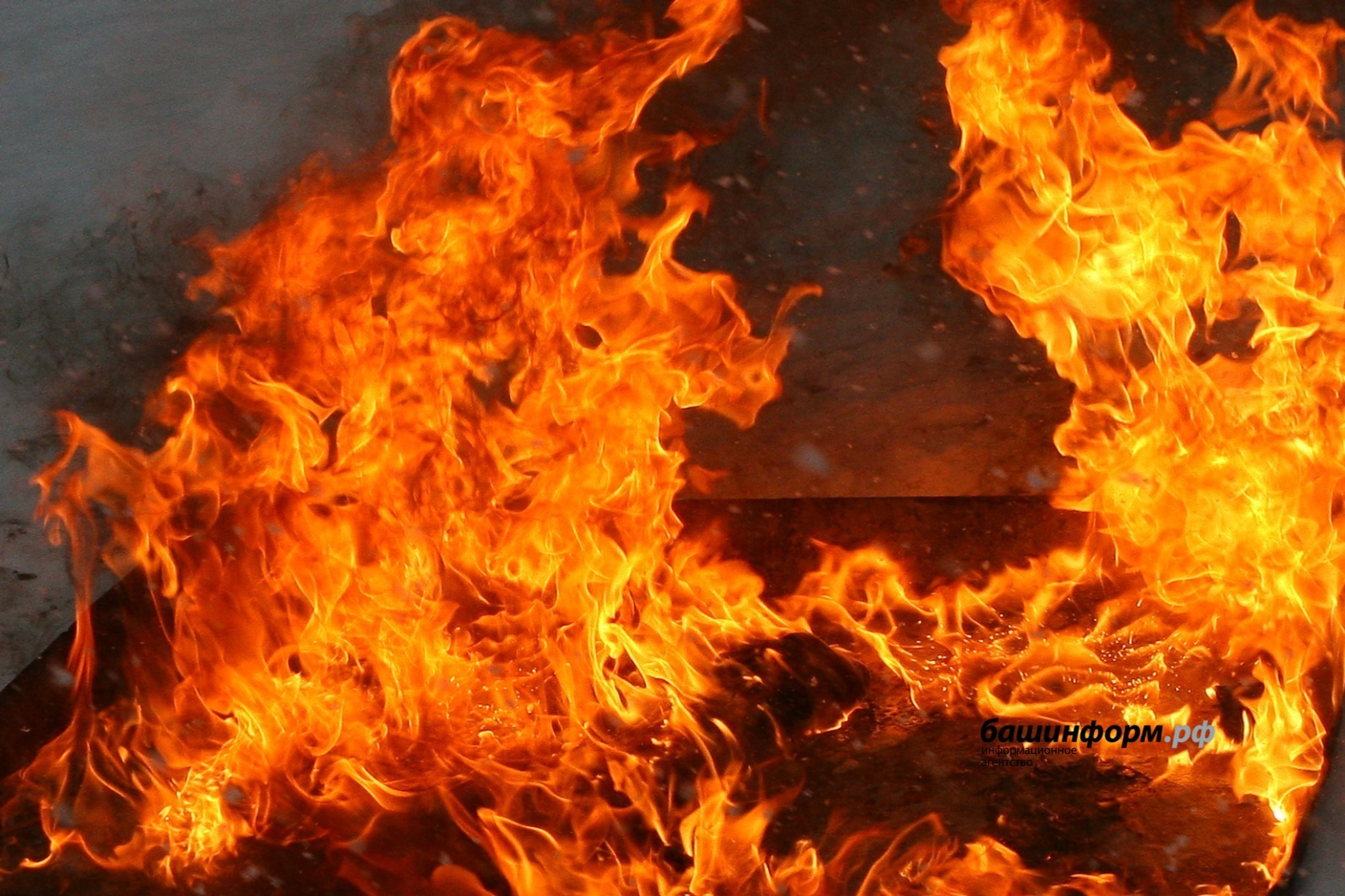 ИА Башинформ