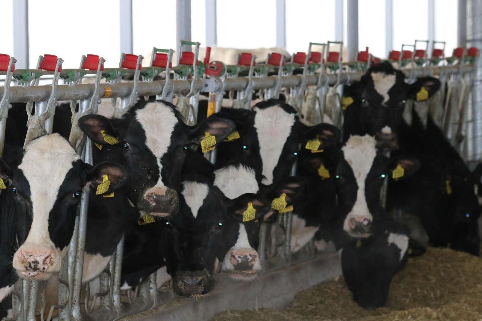 ИА Башинформ