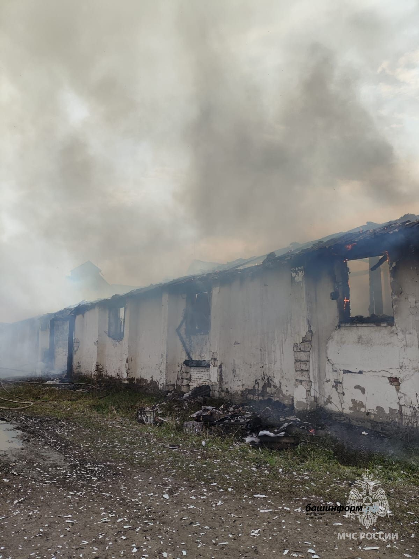 ИА Башинформ