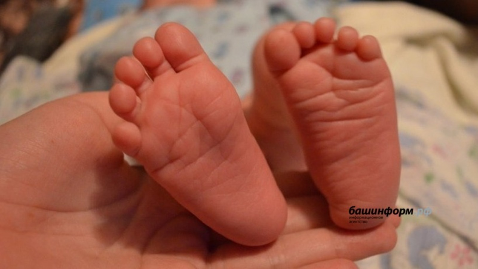 Фото: ИА Башинформ