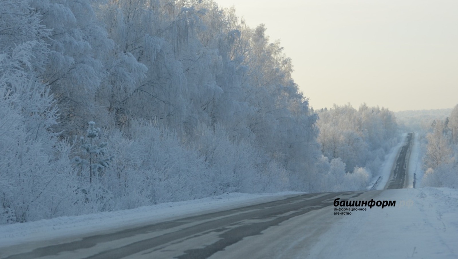 ИА Башинформ